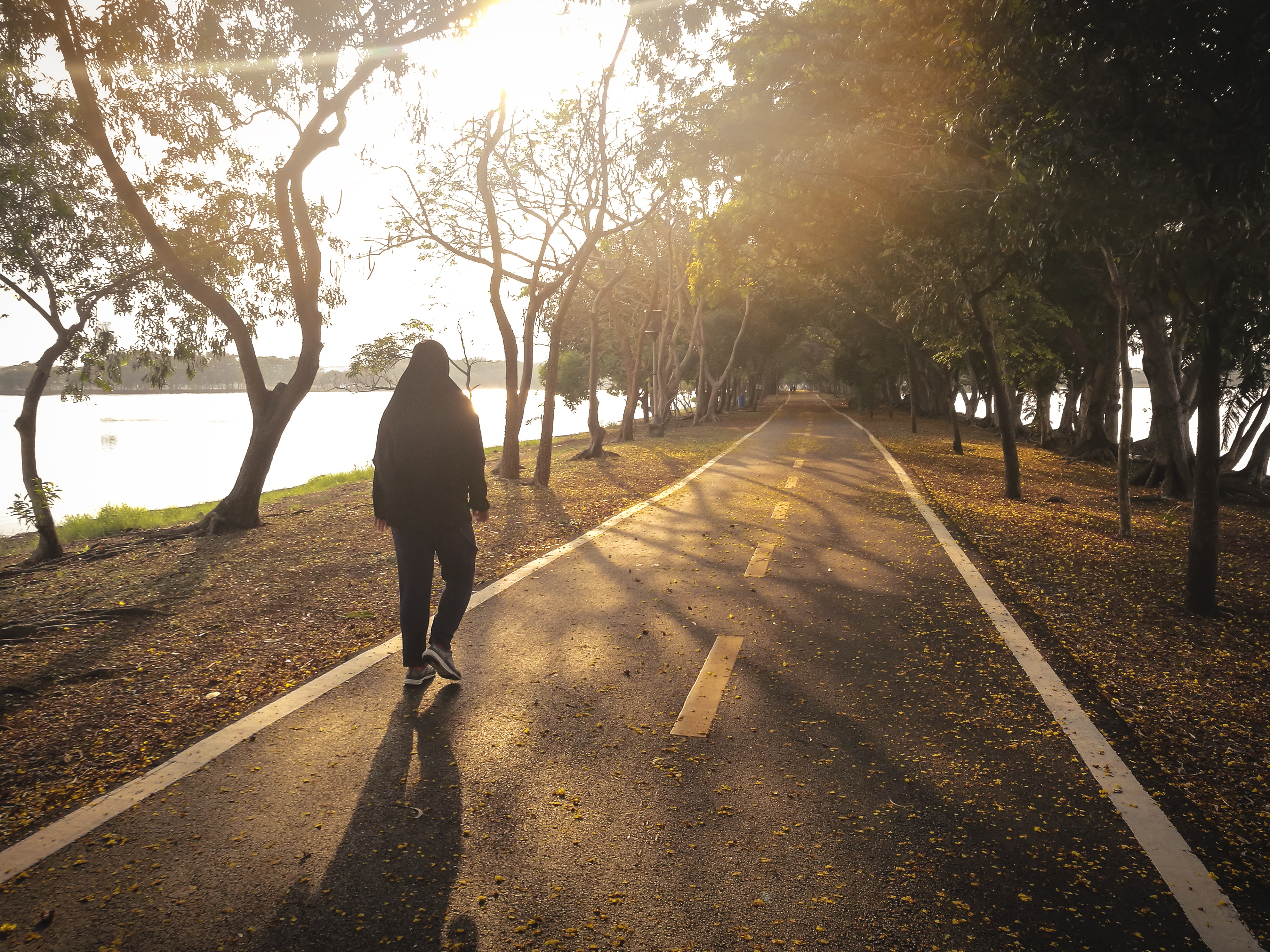 Person walking alone along a sunlit, tree-lined path, representing reflection, healing, and moving forward.
